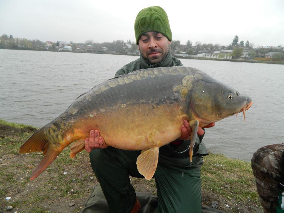 CONCURS LIKE-URI  - VOT PE FACEBOOK  - Florin Pocris